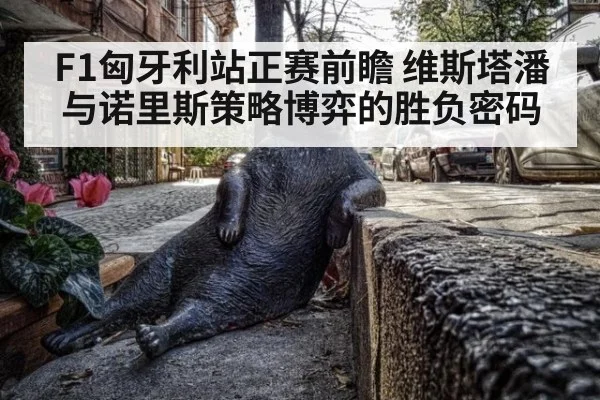 F1匈牙利站正赛前瞻 维斯塔潘与诺里斯策略博弈的胜负密码